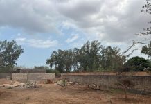 Sénégal : partie faire des achats, une fillette ramenée chez elle la gorge tranchée
