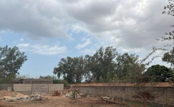 Sénégal : partie faire des achats, une fillette ramenée chez elle la gorge tranchée