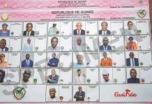Élections législatives du 31 mai 2026 : le FRONDEG absent des spécimens de bulletins de vote