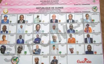 Élections législatives du 31 mai 2026 : le FRONDEG absent des spécimens de bulletins de vote