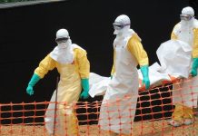 Résurgence d’Ebola en Guinée : les autorités rassurent et renforcent la surveillance aux frontières