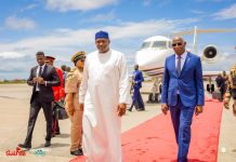 Coopération Guinée–Gambie : Adama Barrow à Conakry pour donner un nouvel élan aux relations bilatérales