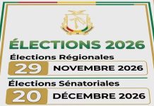 Élections en Guinée : les critères à remplir pour accéder aux conseils régionaux et au Sénat